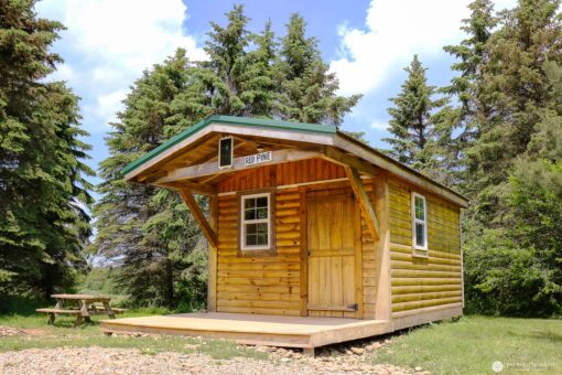Red Pine  (Non-Electric)